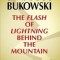 The Flash of Lightning Behind the Mountain: New Poems