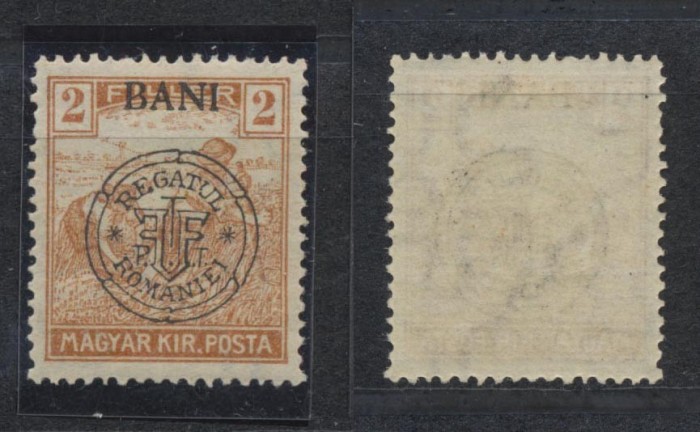 Emisiunea Cluj 1919 timbru Seceratori 2 BANI eroare cu N drept MNH