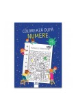 Harta Romaniei: Puzzle - Didactica Publishing House