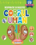 Cumpara ieftin Corpul uman. Respiratie si digestie/***
