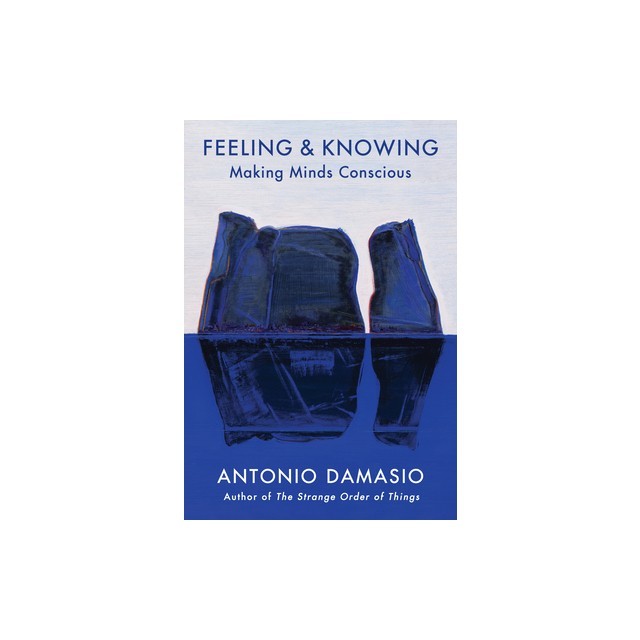 Feeling &amp; Knowing: Making Minds Conscious