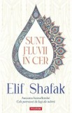 Sunt fluvii in cer - Elif Shafak