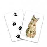 Carti de joc Montessori - Urme de animale |