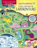 Labirinturi. Lumea animalelor - Paperback brosat - Meteor Press