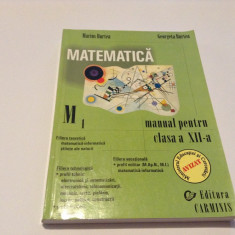 Matematica M1. Manual pentru clasa a XII-a - Marius Burtea, Georgeta Burtea-P9