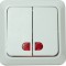 Intrerupator dublu, fixare pe perete, PT - 111861