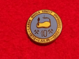 Insigna minerit - Institutul de Mine PETROSANI (1972-1982)