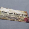 PLIANT CETATEA DEVA
