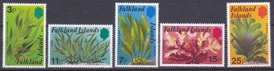 DB1 Flora Marina Varec Iarba de Mare Ins. Falkland 5 v. MNH foto