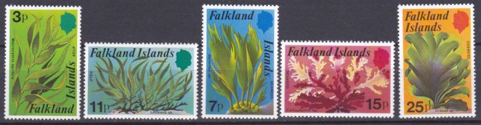 DB1 Flora Marina Varec Iarba de Mare Ins. Falkland 5 v. MNH