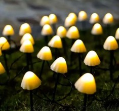 Lumini solare pentru gradina, forma ciuperca, 30 LED, 6 metri, incarcare solara, 8 moduri de iluminare, alb cald