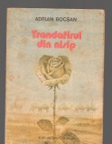 C8509 TRANDAFIRUL DIN NISIP - ADRIAN BOCSAN