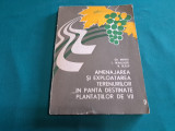 AMENAJAREA ȘI EXPLOATAREA TERENURILOR &Icirc;N PANTĂ DESTINATE PLANTAȚIILOR DE VII