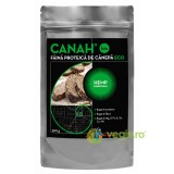 Faina Proteica de Canepa Ecologica/Bio 500g