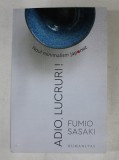 ADIO , LUCRURI ! de FUMIO SASAKI - NOUL MINIMALISM JAPONEZ , 2019