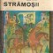 Stramosii. Evocare - Radu Theodoru