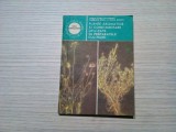 PLANTE AROMATICE SI CONDIMENTARE UTILIZATE IN PREPARATE CULINARE - 1989, 144 p.