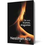 Ce nimic frumos, dragostea - Neslihan Acu - Editura Univers