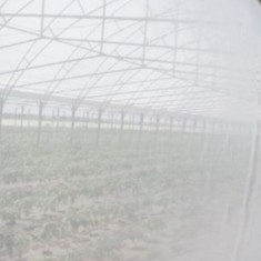 Plasa antiinsecte 1 x 100m