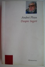 Despre ingeri &ndash; Andrei Plesu