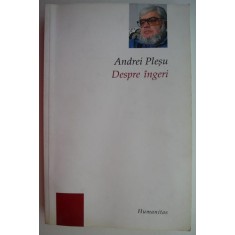 Despre ingeri &ndash; Andrei Plesu