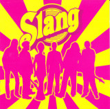 CD Jazz: Slang - Slang ( voce Luiza Zan; 2005, original, stare foarte buna )