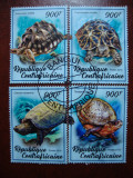 GUINEEA SERIE TESTOASE