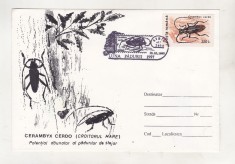 bnk fil Plic ocazional Luna padurii 1997 Sibiu