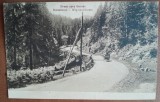 Carte postala, Drum spre Borsec, 1929