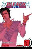 Bleach Vol. 68 | Tite Kubo, Viz Media LLC