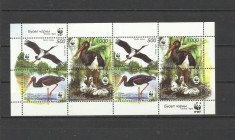 BELARUS 2005 WWF FAUNA PROTEJATA PASARI BERZE foto