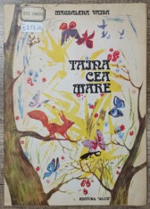 Taina cea mare - Magdalena Vaida// ilustratii Dumitru Ristea foto