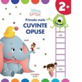 Disney Bebe. Primele mele cuvinte opuse - Disney, Oana Neacsu