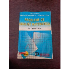 Probleme de analiza matematica - Ion Petrica Vol.I clasa a XI-a