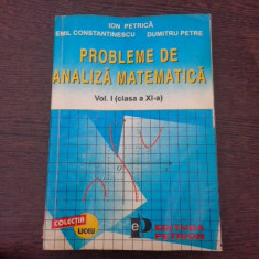 Probleme de analiza matematica - Ion Petrica Vol.I clasa a XI-a