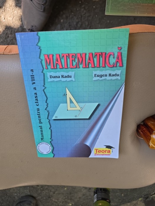 Matematică - Dana Radu, Eugen Radu