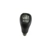 Nuca Schimbator Esprit Mercedes C-Class W202, 5 Trepte, G0009, OEM 2102673710