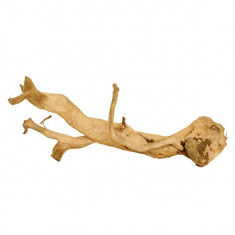 Cuckoo Root radacina pentru acvariu - 55 x 17 x 22 cm foto