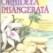 Orhideea insangerata - Earl D. Biggers