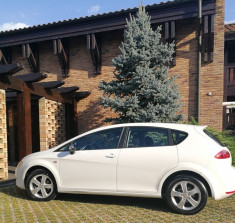 SEAT LEON 1.6 - 2009 foto