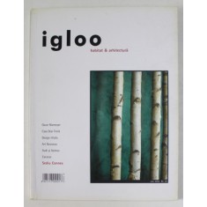 IGLOO - REVISTA - NR. 29 , AN IV , MAI . 2004