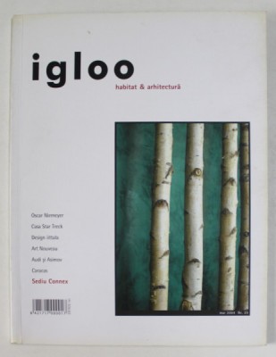 IGLOO - REVISTA - NR. 29 , AN IV , MAI . 2004 foto
