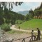 Carte Postala veche - Turda, Valea Ariesului, Circulata