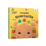 Ce sunt quarcurile