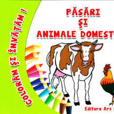 Pasari si animale domestice