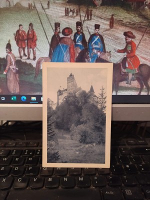 Castel Bran, Vedere generală, colecția C. Stefanovici, circa 1925, 205 foto