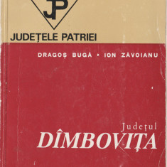 Judetele Patriei - Judetul Dambovita