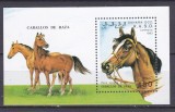DB1 Sahara Occidentala Cai de rasa SS MNH, Nestampilat