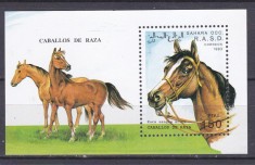 DB1 Sahara Occidentala Cai de rasa SS MNH