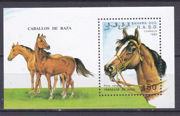 DB1 Sahara Occidentala Cai de rasa SS MNH